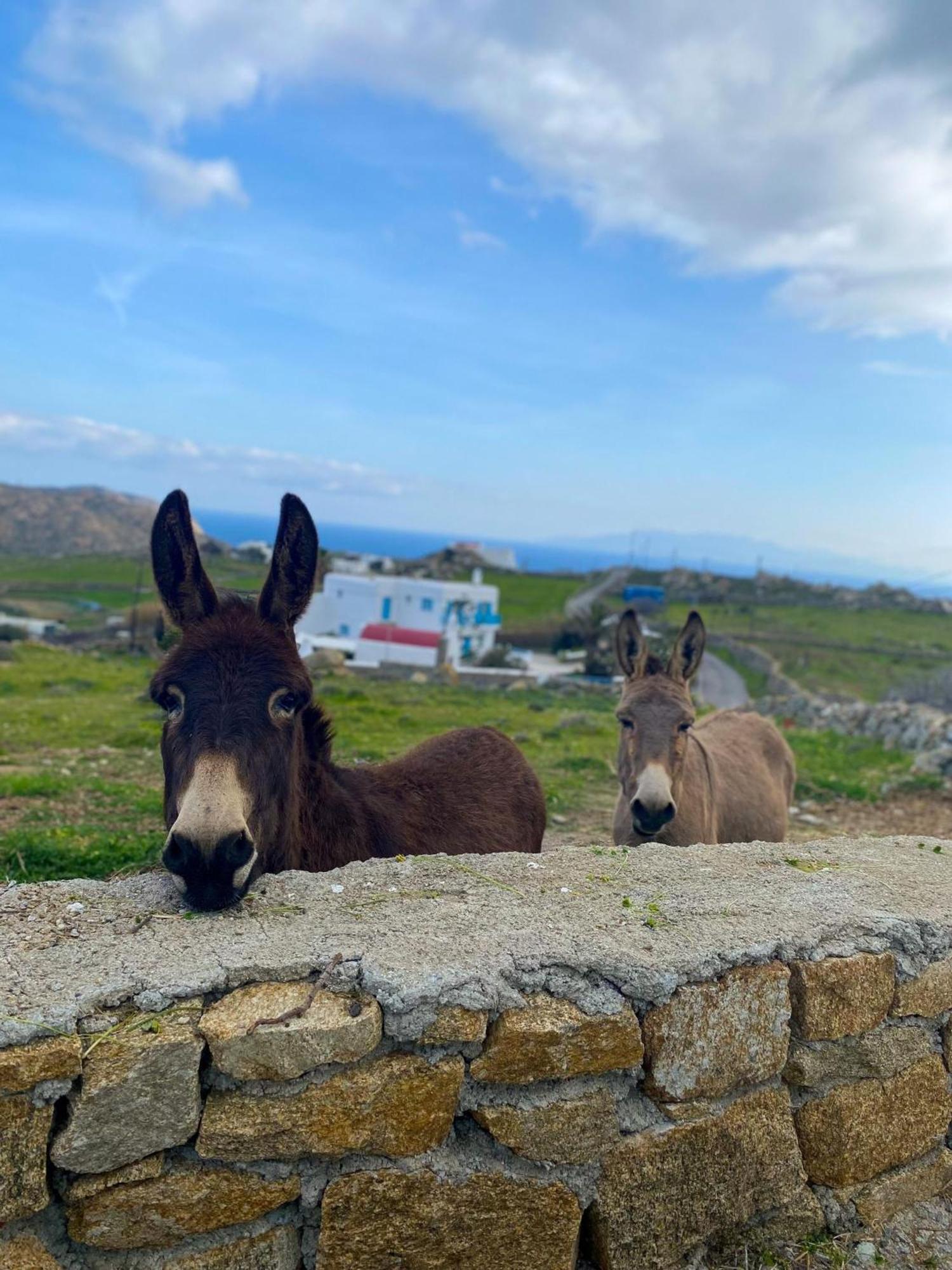 Naira Family Suites Mykonos Mykonos Town Экстерьер фото